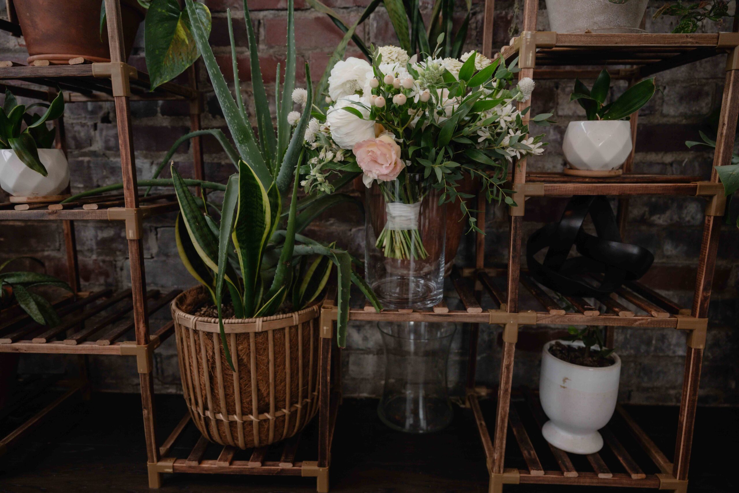 Tinker House Plants Greem Room Bridal Suite Valerie Maldanado